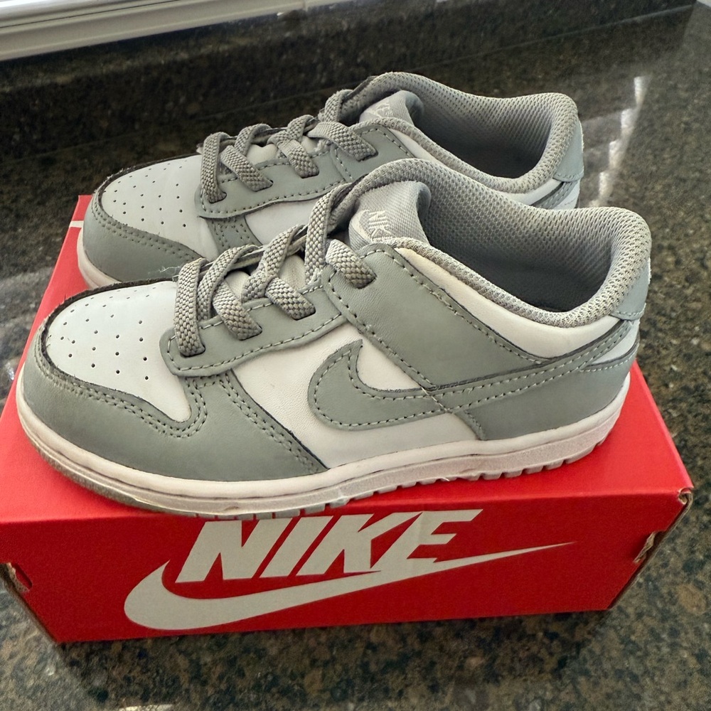 NIKE DUNK LOW (toddler)